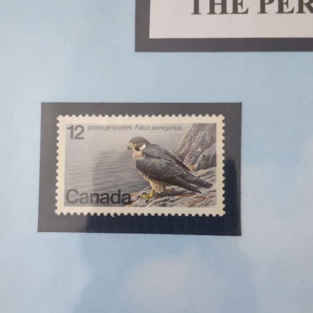 Peregrine Falcon Stamp Collection - Picture 2 of 6